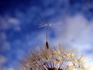 124512551_b143ce53b3