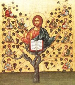 crbst_jesus-the-true-vine