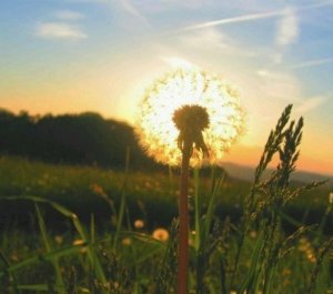 24zxmdcznsIZ_v_ErXAqsQ