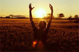 1455890_400771930053940_1269967761_n