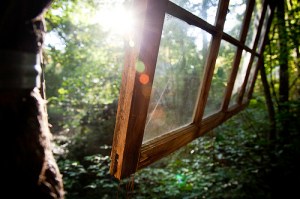 8495192217_33470ff107