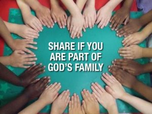 303191_10151190083607355_1539217320_n