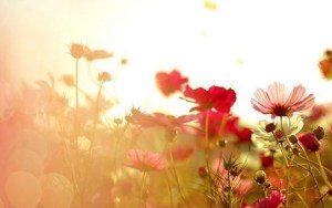 609be4bftw1e6qw5ftd89j20g40a53zc