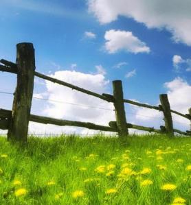 1c5ed5c9fc183eaf14fdf5760540b716