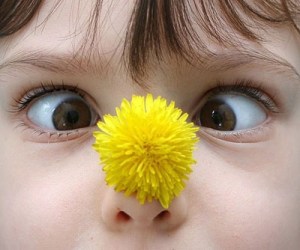 454993fa-7253-42f1-bf33-f37c39ef53b7