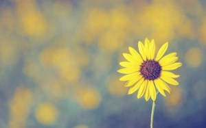 791692cejw1dx8kra3akbj