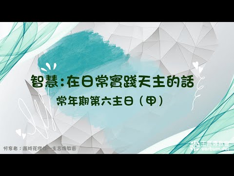 常年期第六主日(甲)