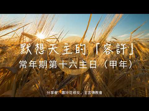 天主的容許~常年期第十六主日 （甲）：瑪十三24-43